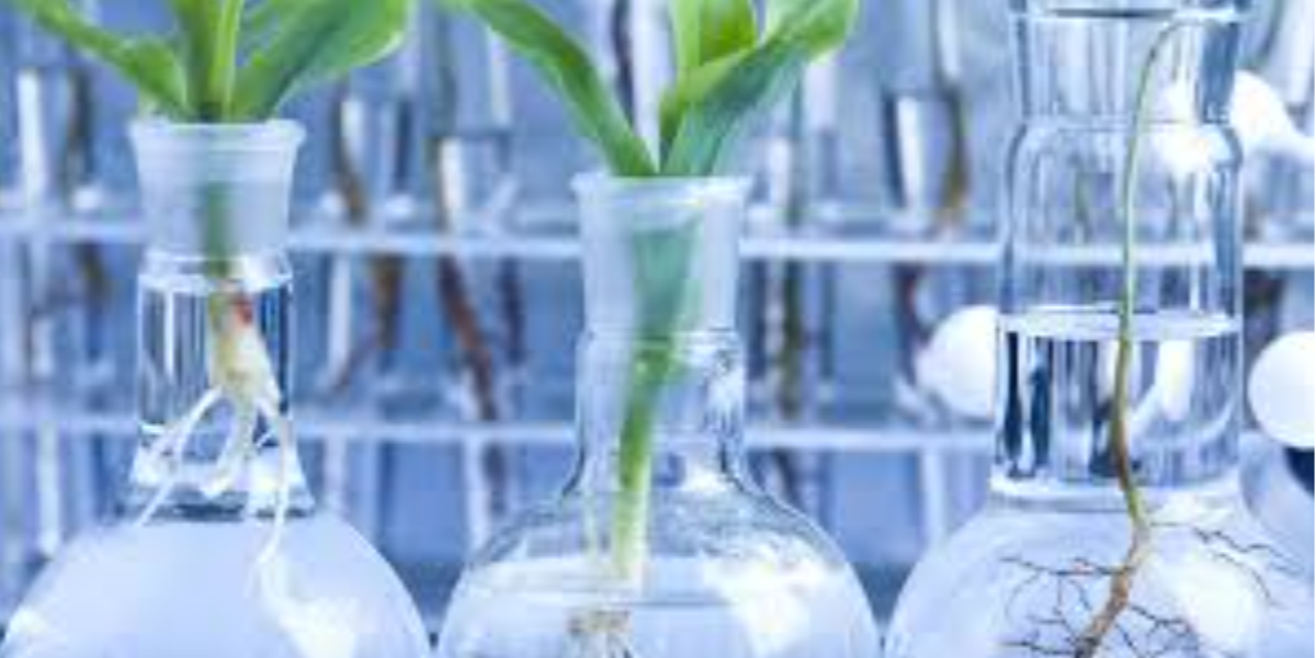 Role of Biotechnology and Biochemistry in Pakistan Health Sector